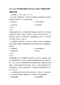 2022-2023学年湖北省武汉市洪山区九年级上学期历史期中试题及答案