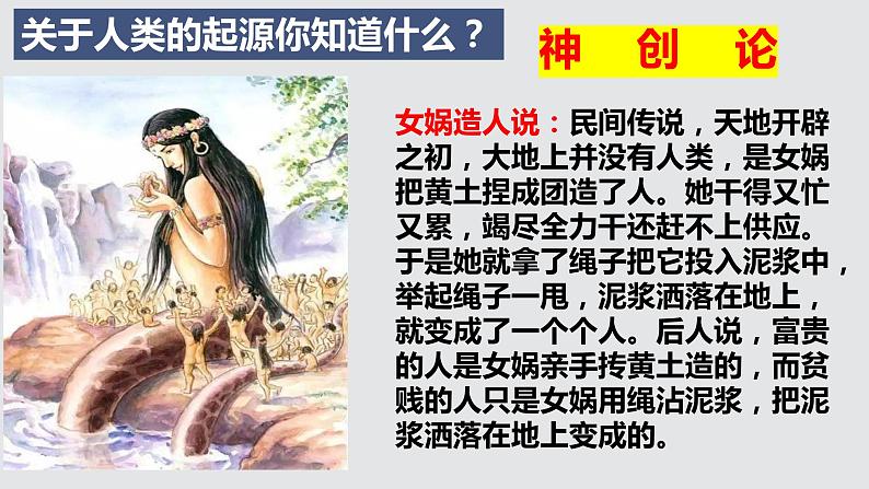 部编版七年级历史上册第一课《中国境内早期人类的代表——北京人》ppt课件04