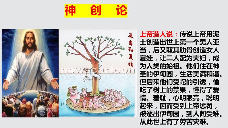 部编版七年级历史上册第一课《中国境内早期人类的代表——北京人》ppt课件05