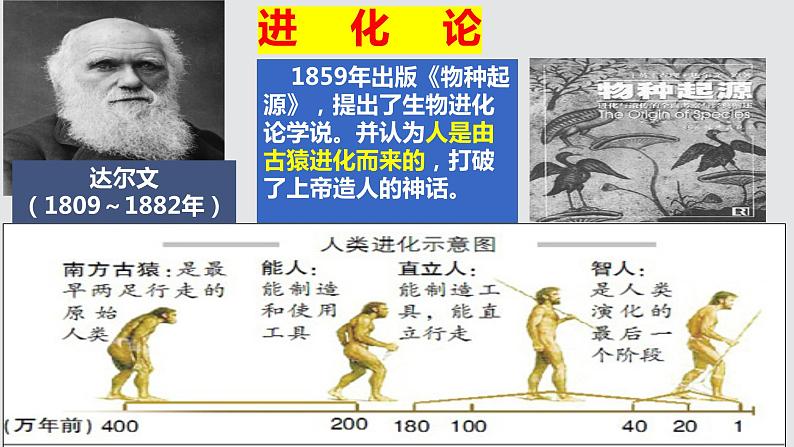 部编版七年级历史上册第一课《中国境内早期人类的代表——北京人》ppt课件06