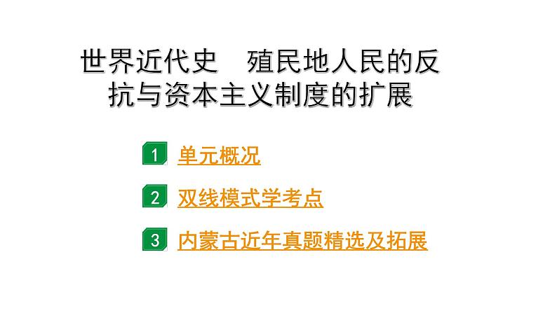 2024内蒙古中考历史二轮中考题型研究 世界近代史 殖民地人民的反抗与资本主义制度的扩展(课件)第1页