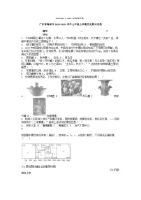 [历史][期末]广东省梅州市2023-2024学年九年级上学期历史期末试卷