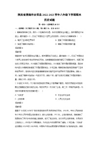 [历史][期末]陕西省渭南市合阳县2022-2023学年八年级下学期期末试题(解析版)