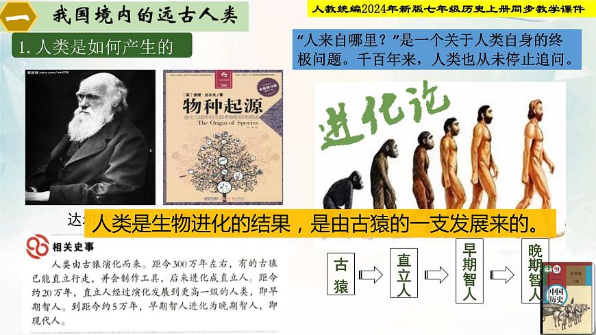 【新課?標(biāo)新教材】人教部編版七年級(jí)歷史上冊(cè)第1課_遠(yuǎn)古時(shí)期的人類活動(dòng)（同步課件）第4頁(yè)