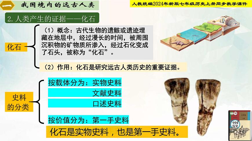 【新課?標(biāo)新教材】人教部編版七年級(jí)歷史上冊(cè)第1課_遠(yuǎn)古時(shí)期的人類活動(dòng)（同步課件）第6頁(yè)