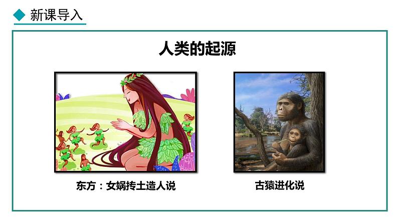 1.1 远古时期的人类活动 课件 2024-2025学年统编版历史七年级上册第3页