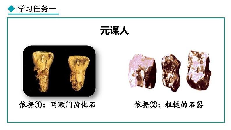 1.1 远古时期的人类活动 课件 2024-2025学年统编版历史七年级上册第7页