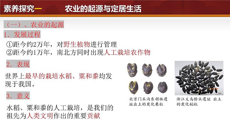 第2课 原始农业与史前社会(课件 含视频) 七年级历史上册 课件( 人教版2024)08
