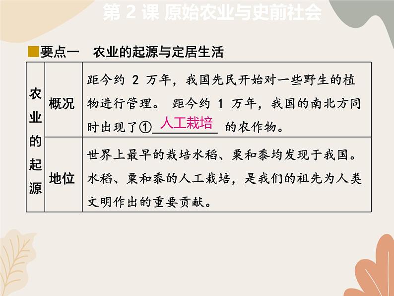 统编版(2024)历史七年级上册 第 2 课 原始农业与史前社会课件04