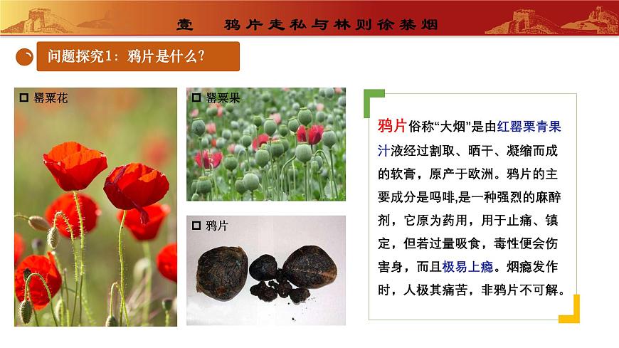 第1課鴉片戰(zhàn)爭教學課件(部編版)第4頁