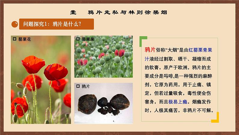 【新课标】1《鸦片战争》课件+教案+分层作业+导学案05