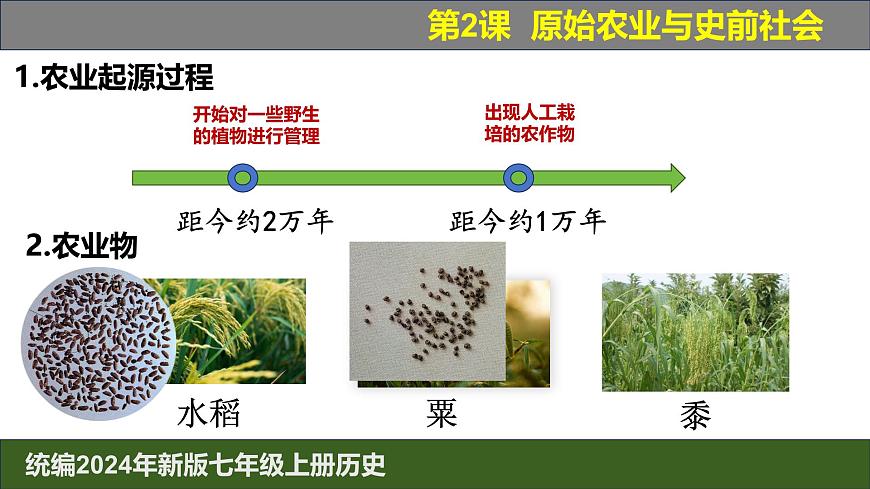 人教版（2024）7上歷史第2課《原始農(nóng)業(yè)與史前社會》課件第7頁