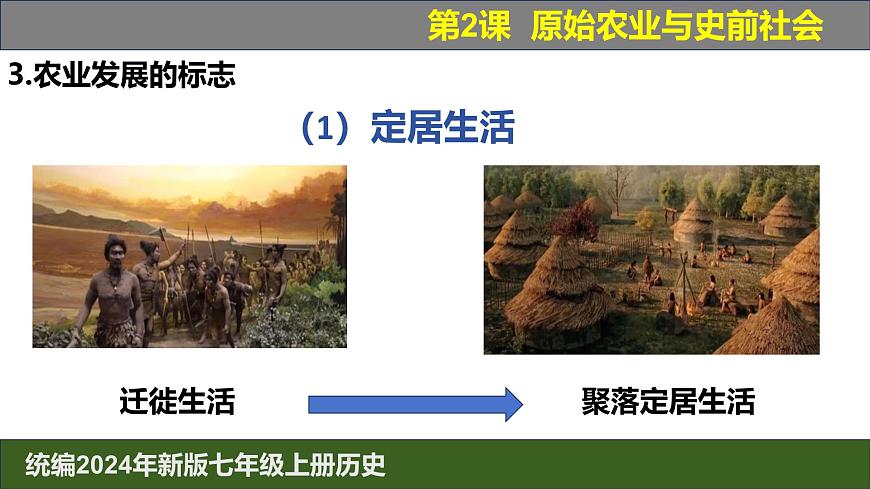 人教版（2024）7上歷史第2課《原始農(nóng)業(yè)與史前社會》課件第8頁