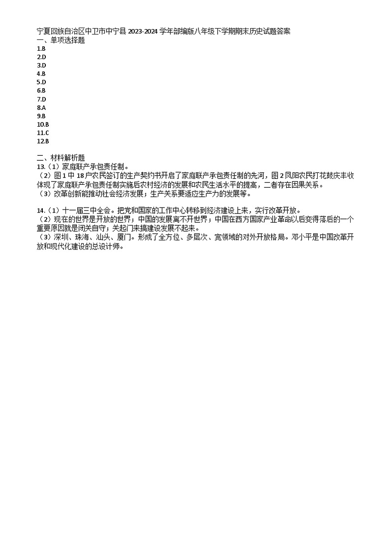 宁夏回族自治区中卫市中宁县2023-2024学年部编版八年级下学期期末历史试题01