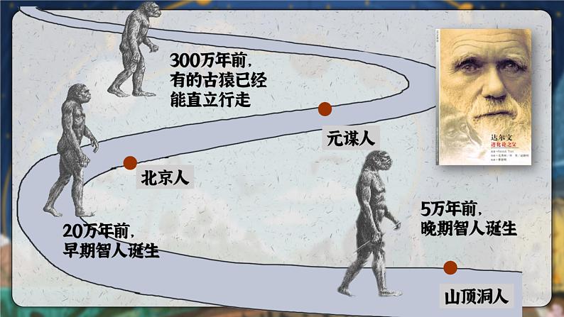 统编版(五四制)初中历史 中国历史第一册 第1课 中国境内早期人类的代表—北京人 课件第2页