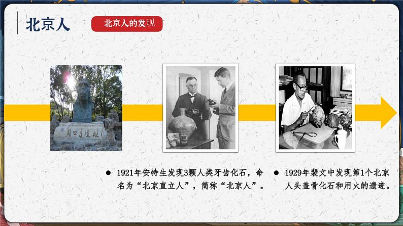 统编版(五四制)初中历史 中国历史第一册 第1课 中国境内早期人类的代表—北京人 课件第7页