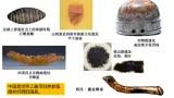 统编版（五四制）初中曆史 中国曆史第一册 第14课 沟通中外文明的“丝绸之路”   課件