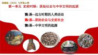歷史七年級(jí)上冊(cè)（2024）第2課 原始農(nóng)業(yè)與史前社會(huì)精品教學(xué)課件ppt