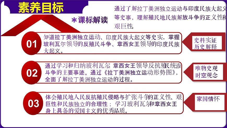 人教版初中歷史9下 第1課  殖民地人民的反抗斗 課件第3頁