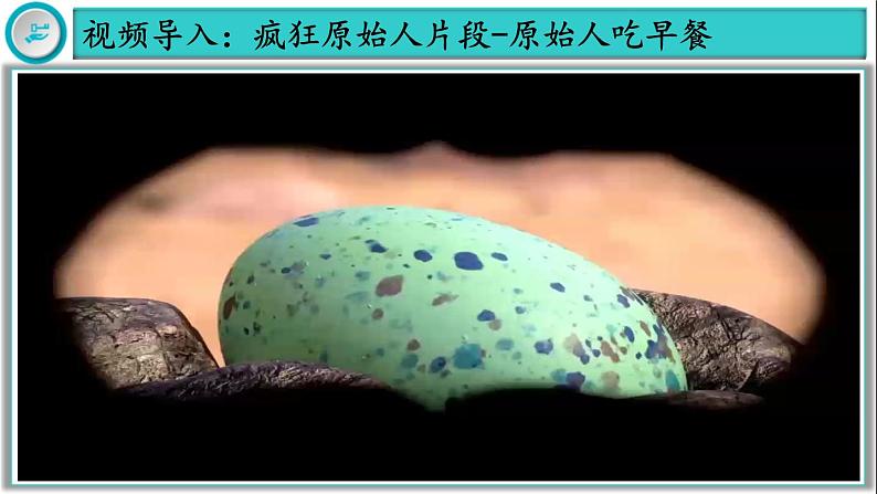 【同步优选】初中历史七年级上册 第1课 远古时期的人类活动 精品课件02
