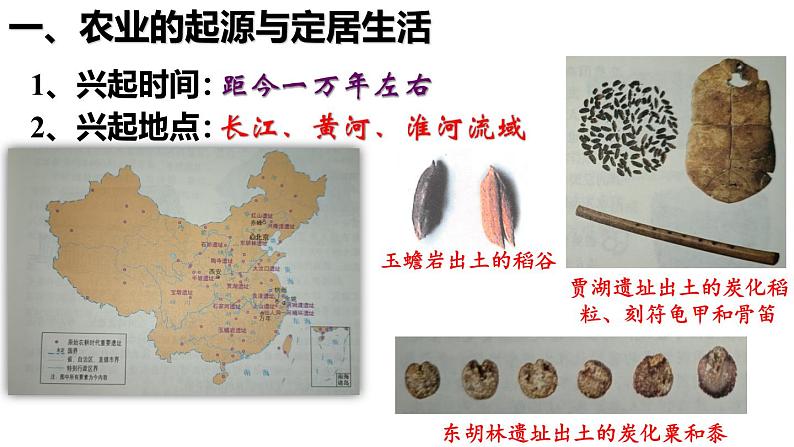 【同步优选】初中历史七年级上册 第2课 原始农业与史前社会 精品课件第6页