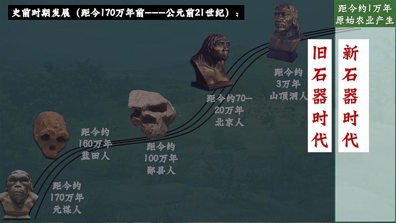 人教版(2024)7上历史第2课《原始农业与史前社会》课件.pptx03