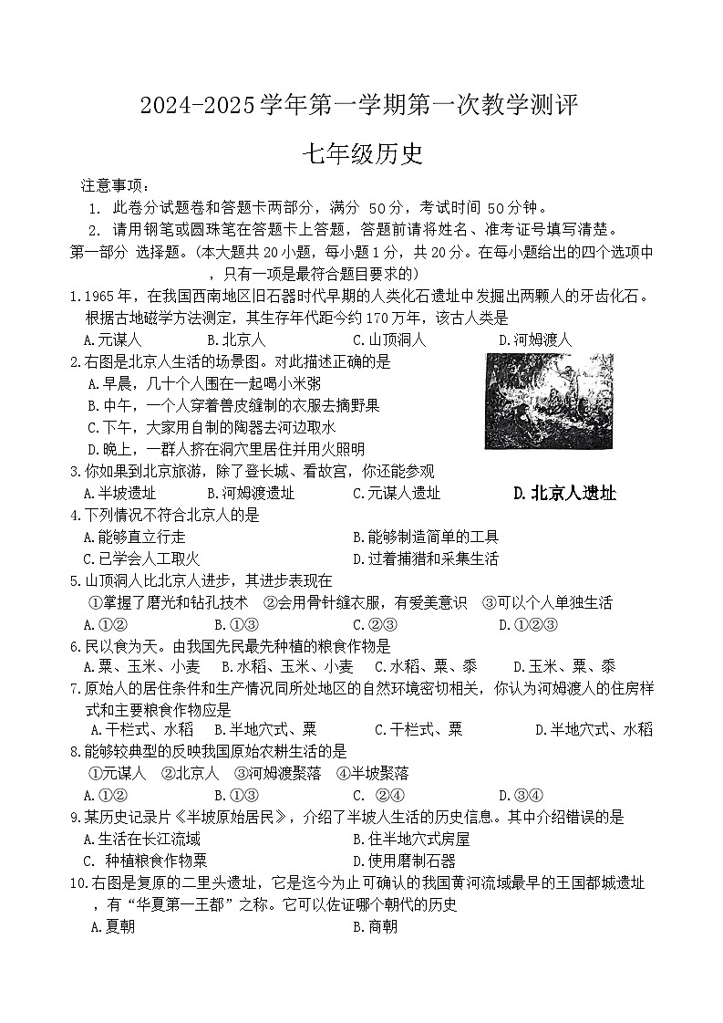 七年级历史第1页