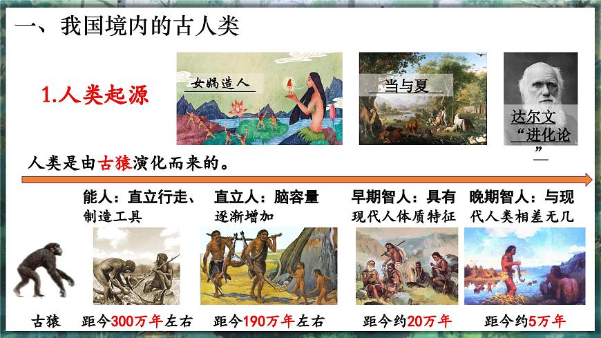 第1課 遠(yuǎn)古時期的人類活動-初中歷史七年級上冊 同步教學(xué)課件（人教版2024）第6頁