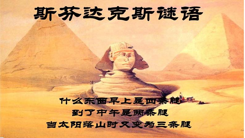 最新人教部编版七年级历史上册第一单元第一课中国早期人类的代表—北京人(课件)01