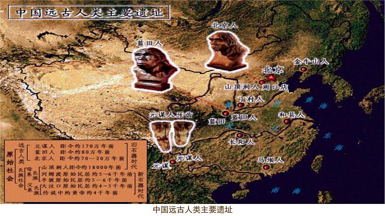 最新人教部编版七年级历史上册第一单元第一课中国早期人类的代表—北京人(课件)07