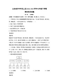 山东省济宁市汶上县2022-2023学年七年级下学期期末历史试卷(解析版)