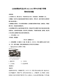 山东省烟台市龙口市2022-2023学年七年级下学期期末历史试卷（解析版）