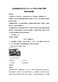 山东省烟台市龙口市2022-2023学年七年级下学期期末历史试卷（解析版）