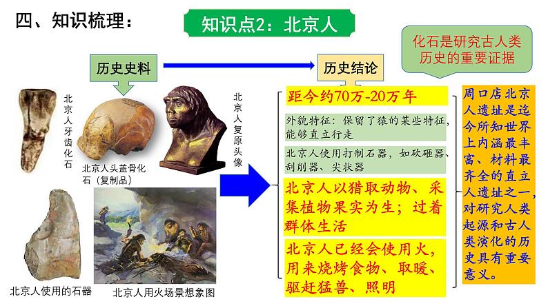 历史期中复习课件七年级上册复习课件(部编版2024)08