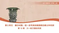 初中历史人教版（2024）七年级上册（2024）第12课 大一统主朝的巩固背景图课件ppt