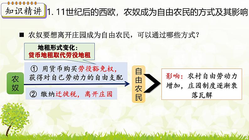 新课堂探索课件 部编版历史9年级上册 第13课 西欧经济和社会的发展第8页