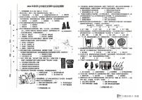 海南省省直辖县级行政单位临高县2024-2025学年部编版七年级上学期11月期中历史试题