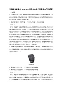 江蘇省張家港市2024-2025學(xué)年九年級上學(xué)期期中歷史試卷（解析版）