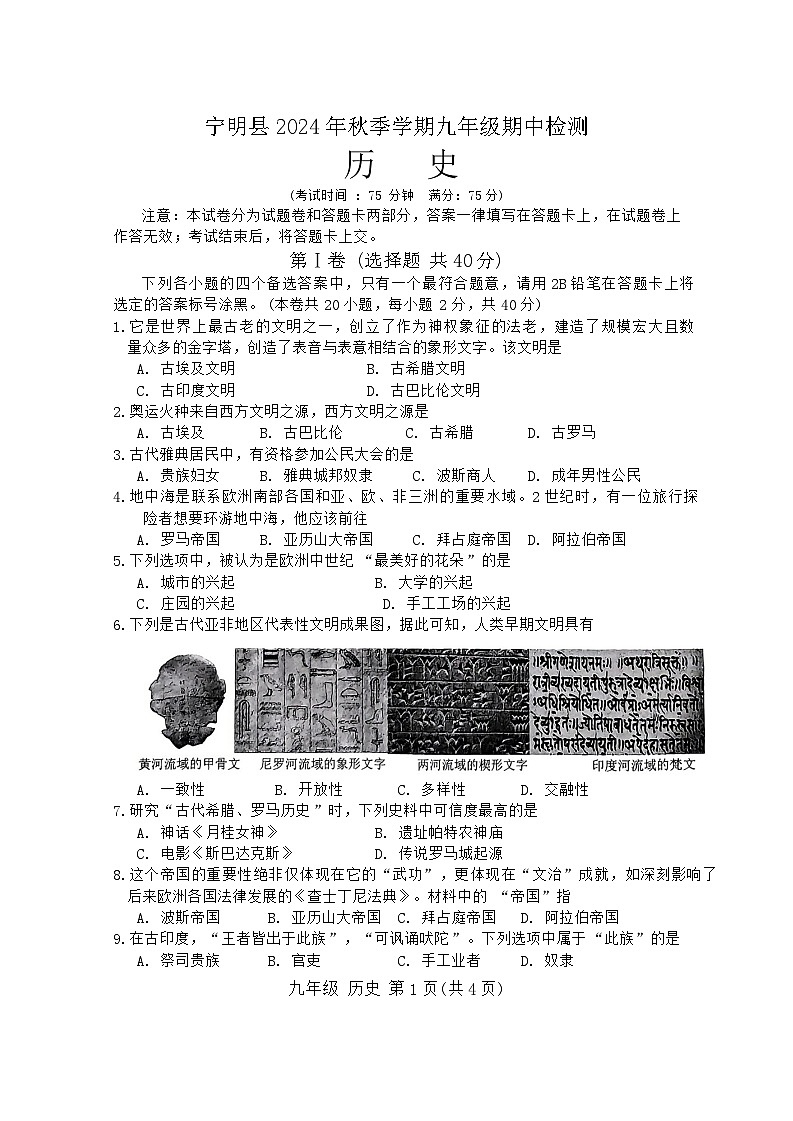 还原Word_宁明县2024年秋季学期九年级期中检测第1页