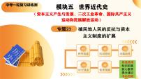 2025年中考?xì)v史一輪復(fù)習(xí)講練測(cè)（課件）專(zhuān)題23 殖民地人民的反抗與資本主義制度的擴(kuò)展（含答案）