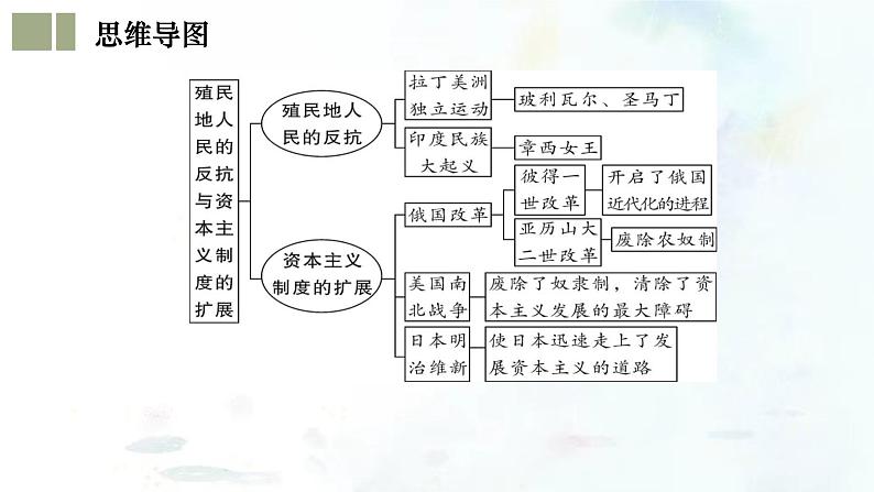 (部编版)中考历史一轮复习考点练习课件专题27 殖民地人民的反抗与资本主义制度的扩展(含答案)第5页