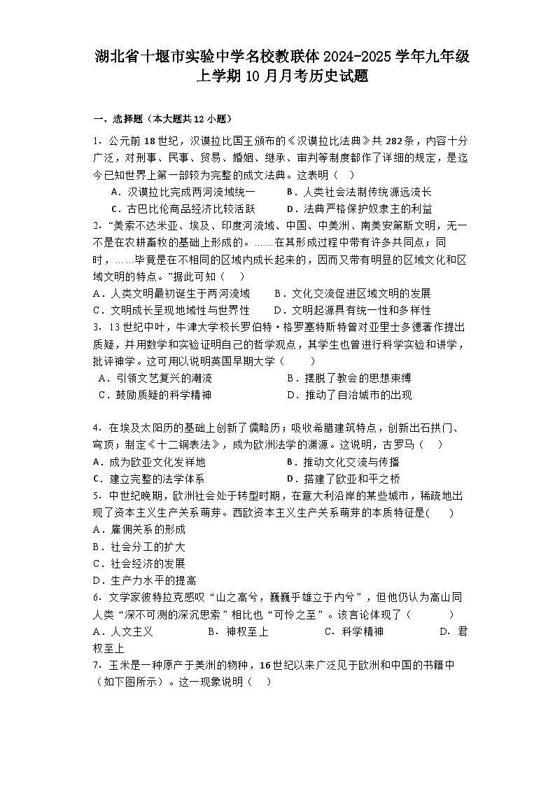 湖北省十堰市实验中学名校教联体2024-2025学年九年级上学期10月月考历史试题第1页