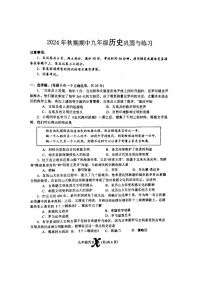 河南省南阳市内乡县2024-2025学年九年级上学期11月期中历史试题