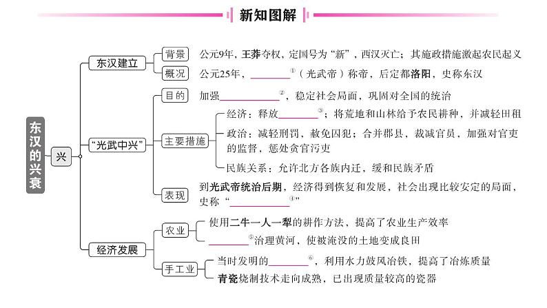 初中历史新人教版七年级上册第三单元第十三课 东汉的兴衰作业课件2024秋第2页