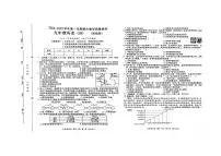 河北省石家庄市2024-2025学年上学期九年级历史期中测试题