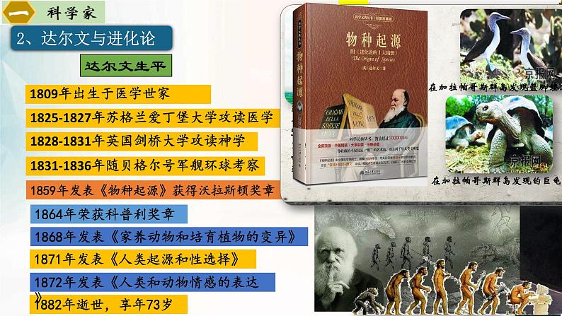 【新课标新理念】人教部编版九年级历史下册第7课 近代科学与文化(同步课件)08