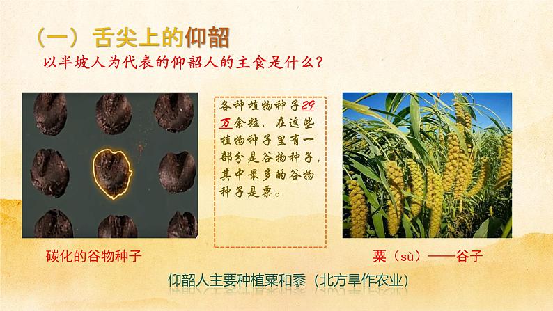 初中 历史 人教版(2024) 七年级上册第2课 原始农业与史前社会 课件第5页