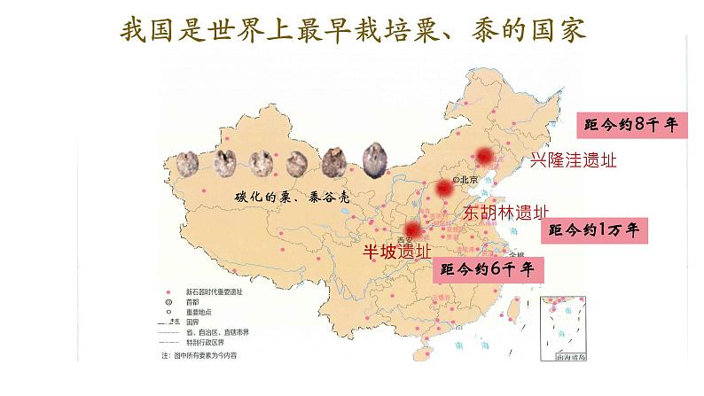 初中 历史 人教版(2024) 七年级上册第2课 原始农业与史前社会 课件第7页
