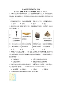 河南省信阳市新县2024-2025学年七年级上学期期中质量监测历史试卷