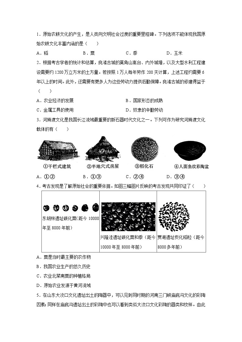 部编版历史七年级上册 2024-2025学年 第2课 原始农业与史前社会 学案1第3页